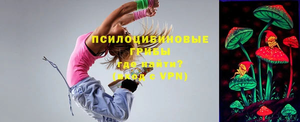 шишки Баксан