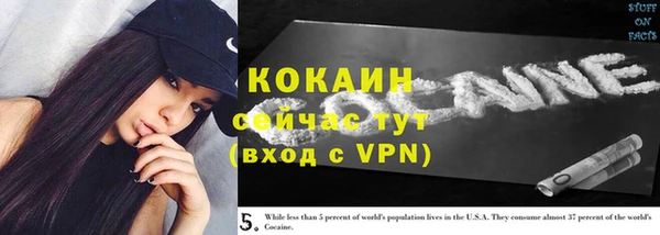 шишки Баксан