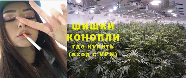 шишки Баксан