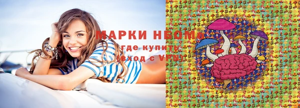 шишки Баксан