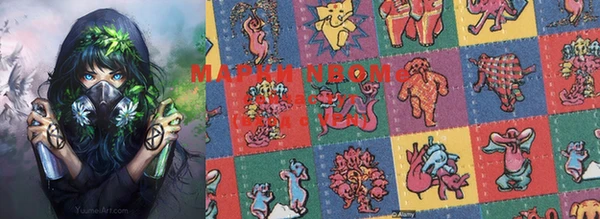 шишки Баксан