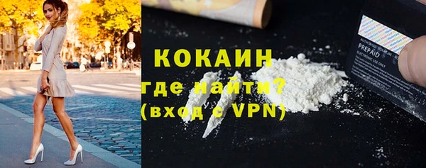 шишки Баксан