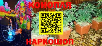 амф Малгобек