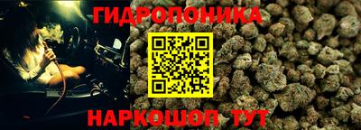 ешки Ногинск