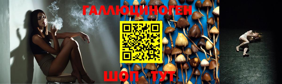 Галлюциногенные грибы ЛСД Сердобск